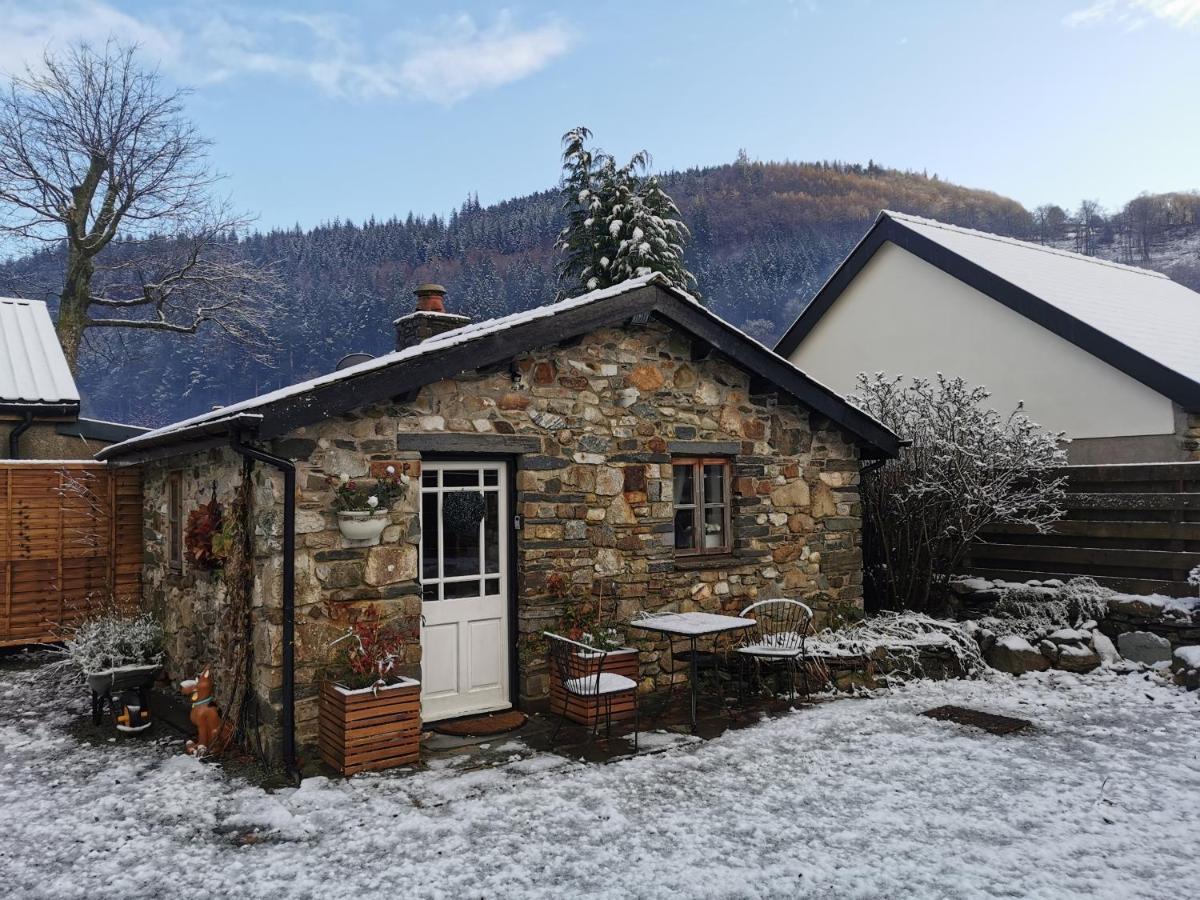 Dolweunydd Bed And Breakfast Betws-y-Coed Exterior photo